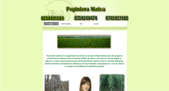 Desktop Screenshot of pepinieramatca.ro